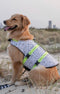 Dog Life Vest Swim Jacket
