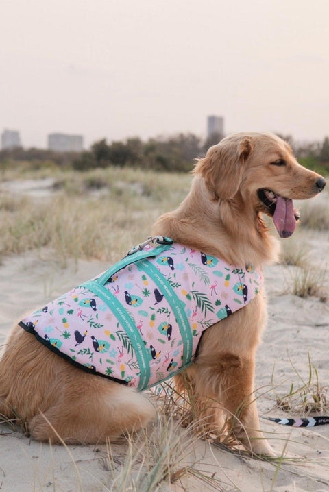 Dog Life Vest Swim Jacket