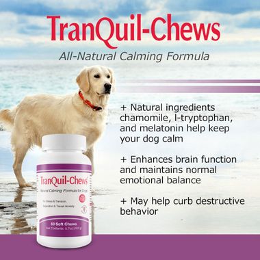 TranQuil- Chews Natural Calming Formula